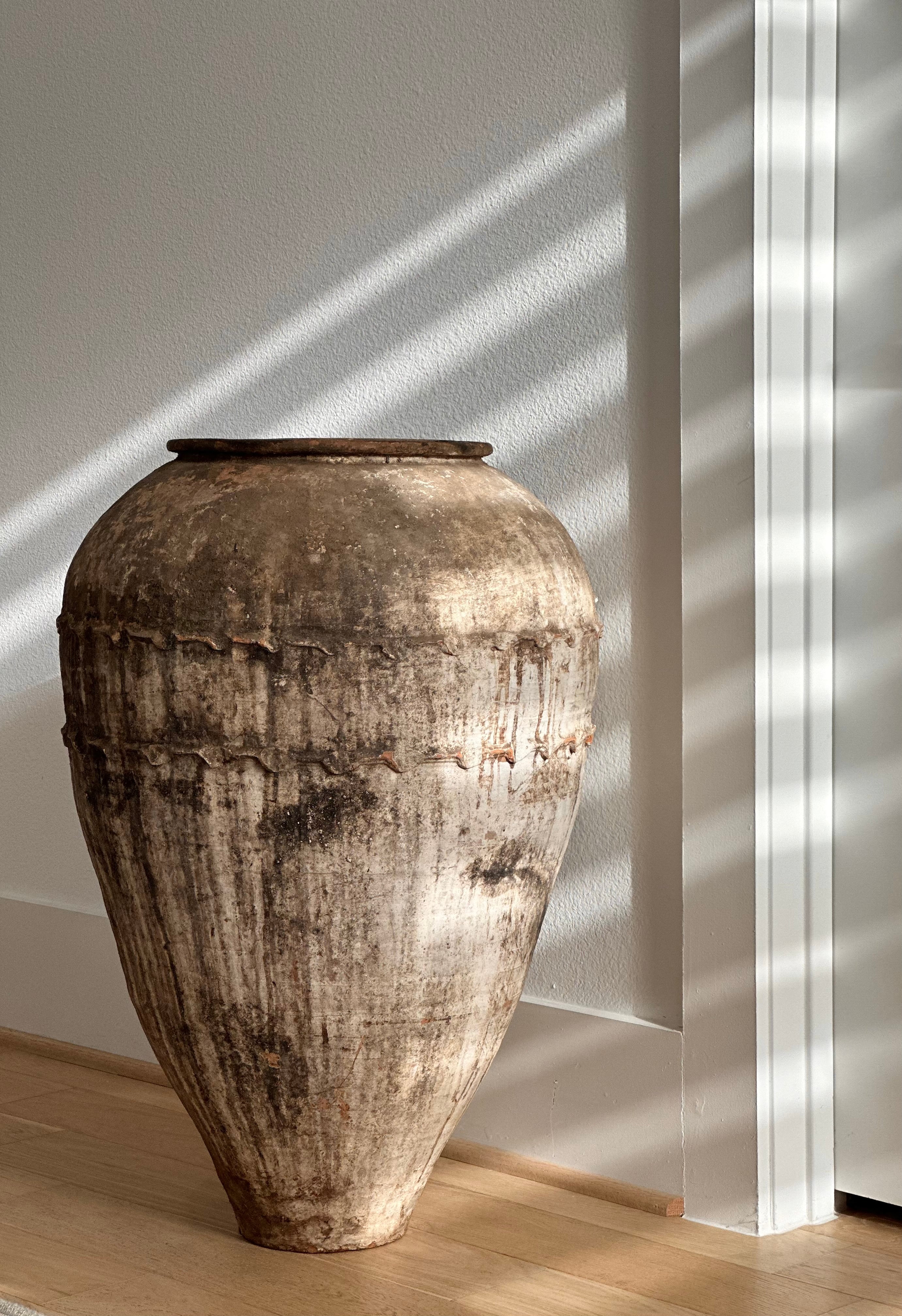 Olive Jars